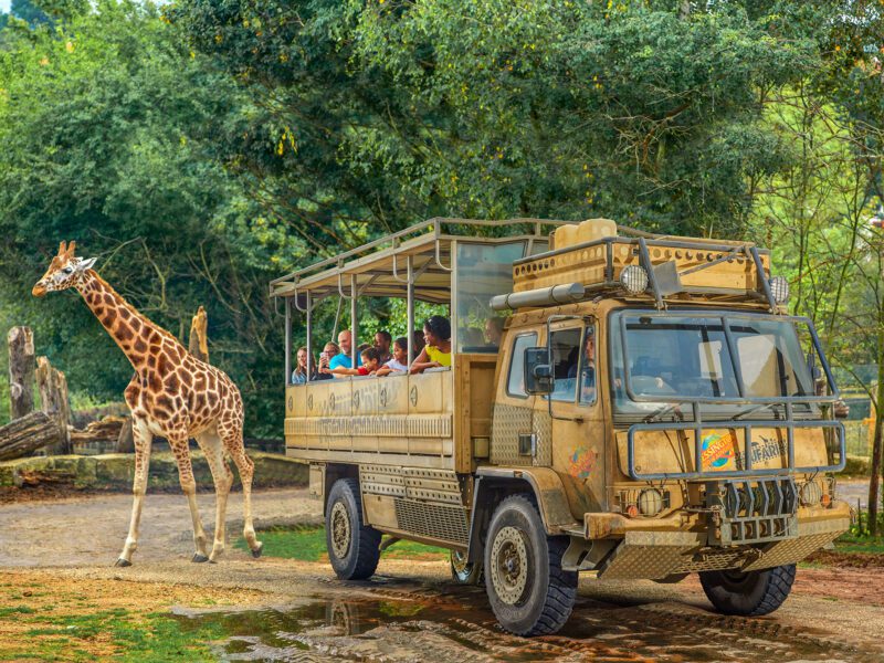 Chessington World of Adventures